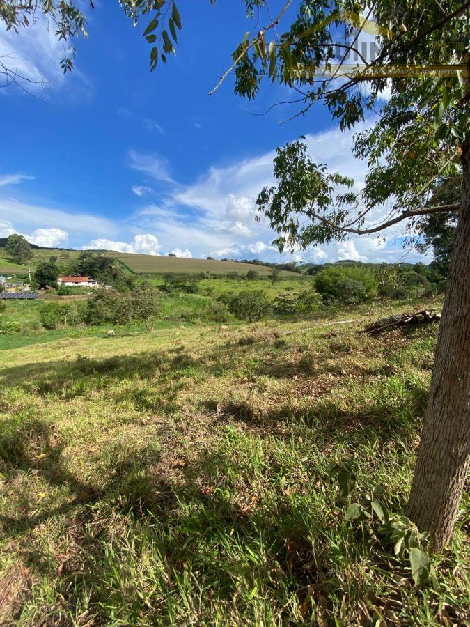 WhatsApp Image 2026-02-04 at 16.06.34 (4).jpeg